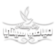miami-logo-n